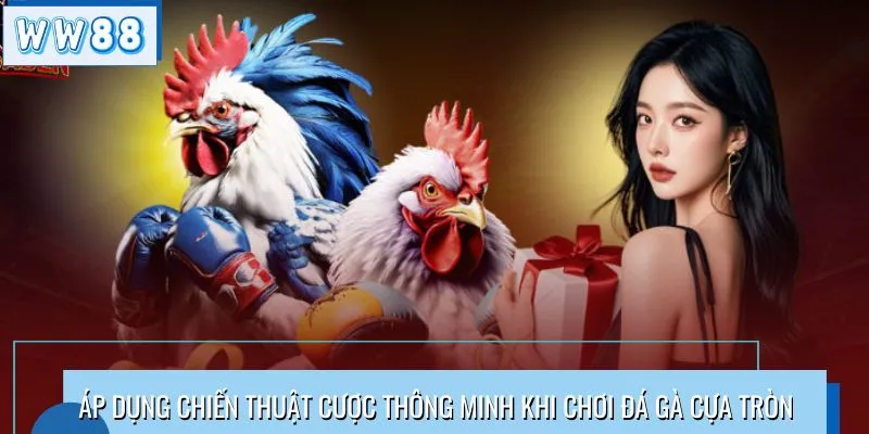 Áp dụng chiến thuật cược thông minh khi chơi đá gà cựa tròn