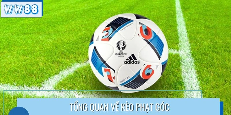 Khái quát về khái niệm tỷ lệ phạt góc 